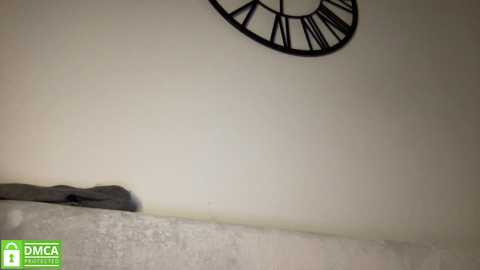angel_from_sky @ chaturbate on 20240109