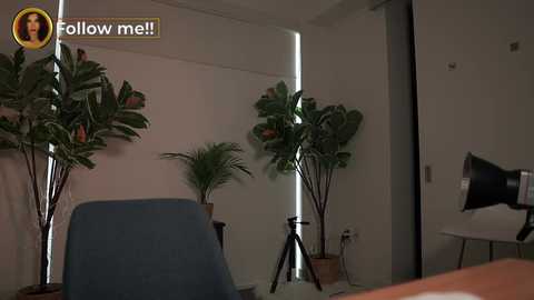 letiziafulkers1 @ chaturbate on 20240129