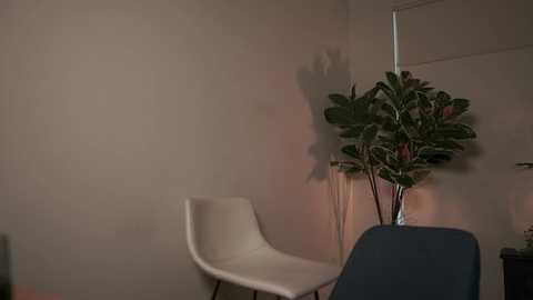 letiziafulkers1 @ chaturbate on 20240130