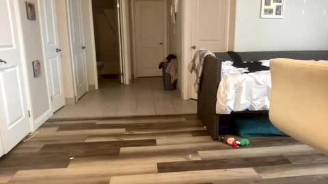 lollipoplovee @ chaturbate on 20240224