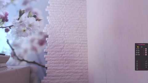 mazzanti_ @ chaturbate on 20240303