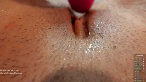 finleyfae @ chaturbate on 20240307