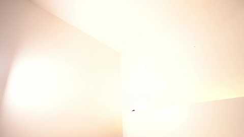 reei__