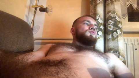 czechhairygiganticcockpornstar