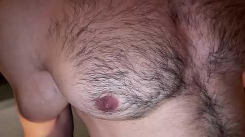 musclehair3 @ chaturbate on 20240919
