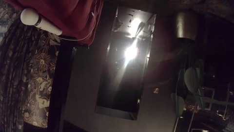 mrandmrsvanilla @ chaturbate on 20240921