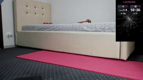 carmela_fox @ chaturbate on 20240923