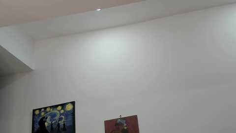 nico_robinson @ chaturbate on 20240927