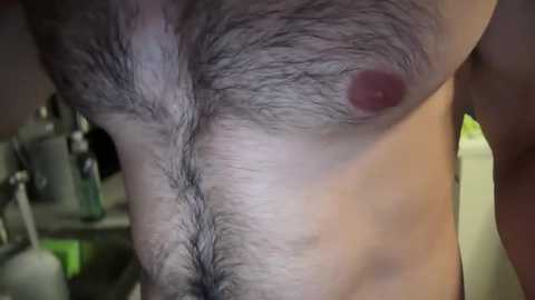 musclehair3 @ chaturbate on 20240928