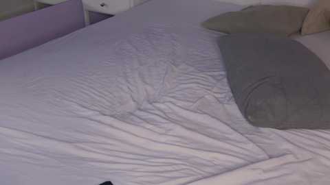nellystarrr @ chaturbate on 20240928