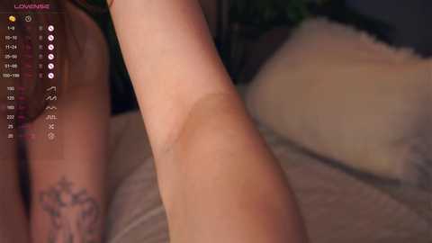 drutywerri @ chaturbate on 20240929