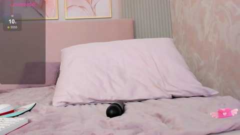 lesley_999 @ chaturbate on 20240929