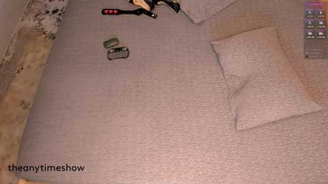 theanytimeshow @ chaturbate on 20240929