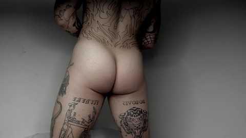 _layne @ chaturbate on 20241002