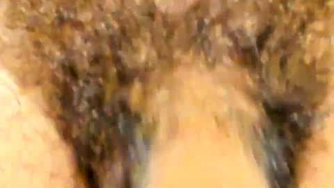 hung_dude_19