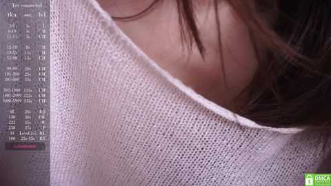 _vi_vi_ @ chaturbate on 20241004