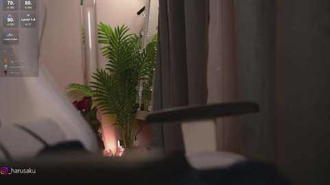 h4ruk4 @ chaturbate on 20241004