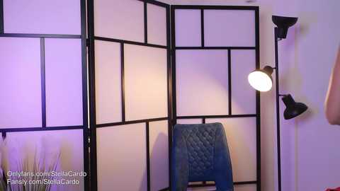 stella_and_stephan @ chaturbate on 20241005