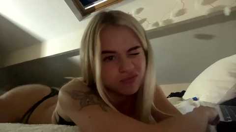 allanarey151 @ chaturbate on 20241006