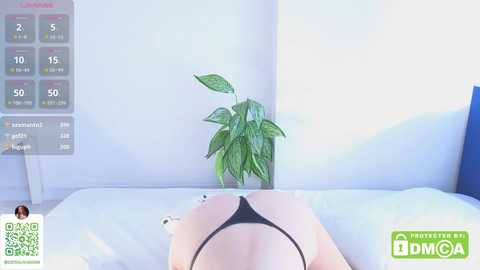 legendoflady @ chaturbate on 20241006