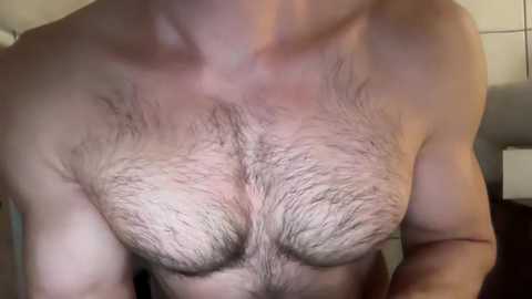 musclehair3 @ chaturbate on 20241008
