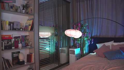 _icecrystal @ chaturbate on 20241009