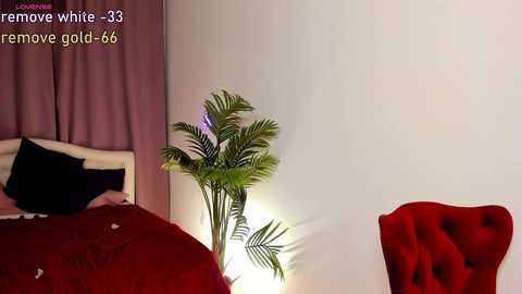 alika_shy @ chaturbate on 20241009
