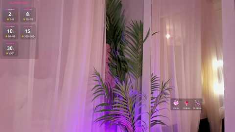 liia_sweett @ chaturbate on 20241009