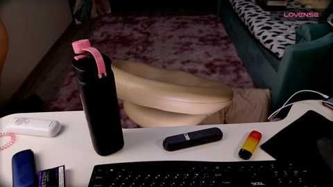 neko_kimiko @ chaturbate on 20241009