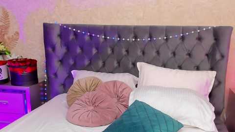 _selenasky @ chaturbate on 20241011