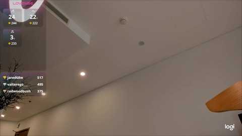 ayumi_dream @ chaturbate on 20241012