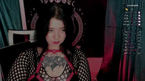 black_kittie_01 @ chaturbate on 20241012