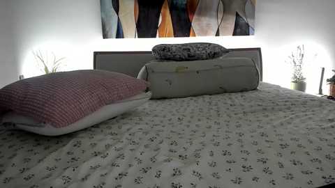 mis_eva @ chaturbate on 20241012