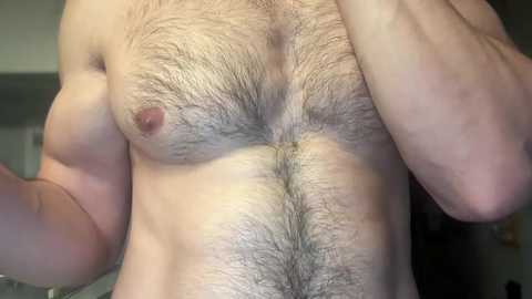 musclehair3 @ chaturbate on 20241013