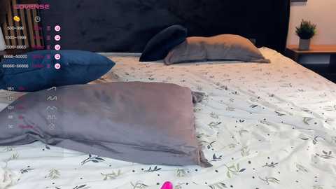 xterribly_cutex @ chaturbate on 20241013