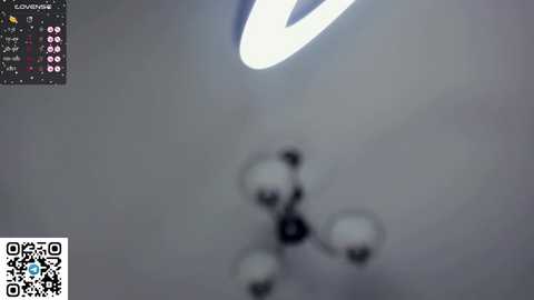 eugeniabrainard @ chaturbate on 20241014