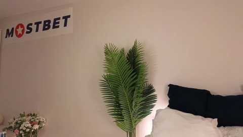 tadammary @ chaturbate on 20241016