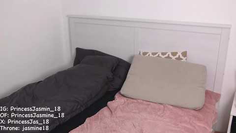 princessjasmine_18 @ chaturbate on 20241018