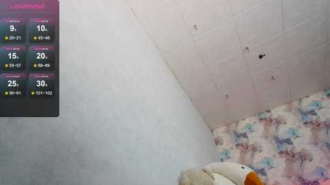 tits_your_dreams @ chaturbate on 20241018