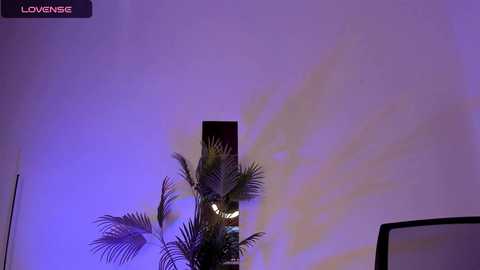 alice_leey @ chaturbate on 20241020