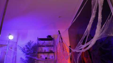 goth_dolll @ chaturbate on 20241020