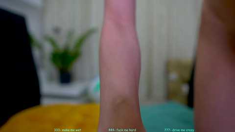 sophydiva @ chaturbate on 20241020