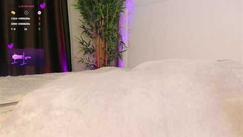 islandladies @ chaturbate on 20241022