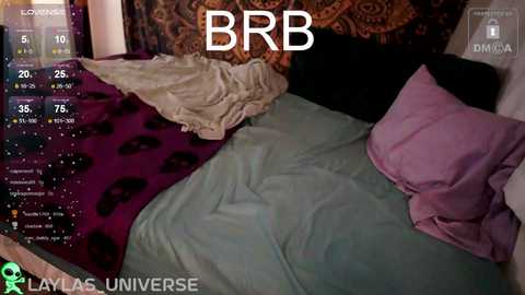 laylas_universe @ chaturbate on 20241022