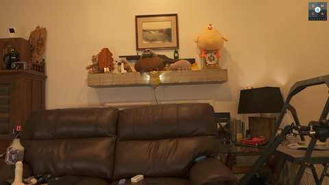 rndmzd @ chaturbate on 20241022