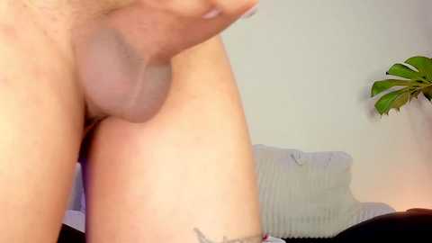 scarett_jackson @ chaturbate on 20241025