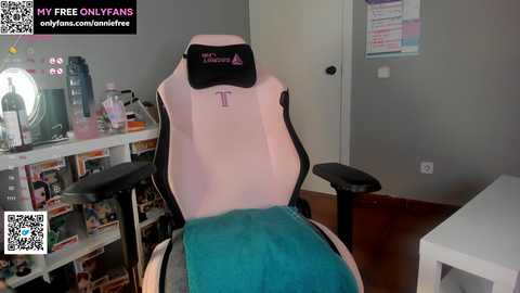 annieguzman_ @ chaturbate on 20241027