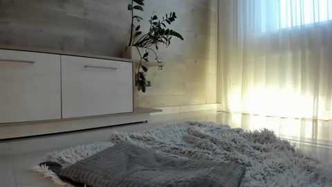 meryfoxxx @ chaturbate on 20241028