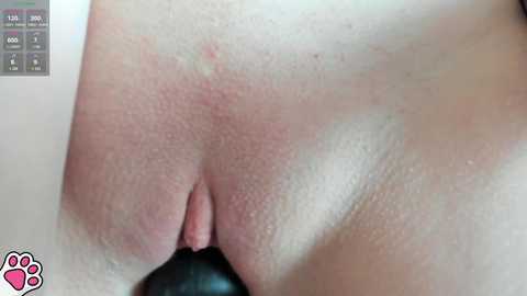 azureluna @ chaturbate on 20241029