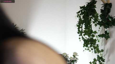hinatabroks @ chaturbate on 20241029